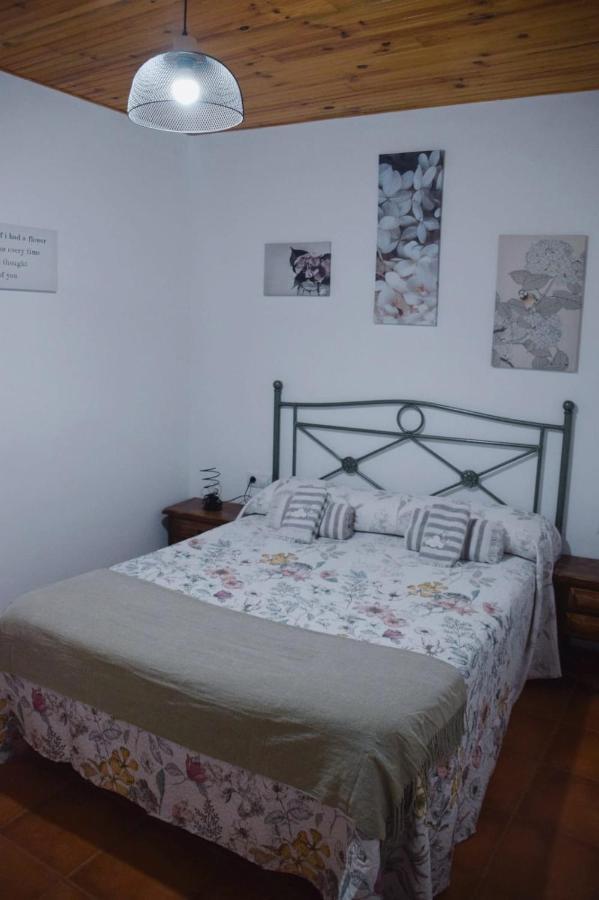 Apartamentos loli Berga Bagian luar foto